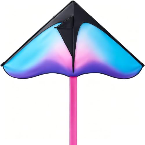 JOYIN Large Delta Beach Kite Gradient Blue & Purple for Kids and Adults
