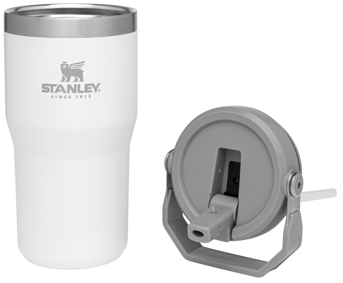 STANLEY IceFlow Flip Straw Tumbler with Handle 20 oz | Twist On Lid and Flip Up Straw | Leak Resistant Water Bottle | Insulated Stainless Steel |BPA-Free | Polar