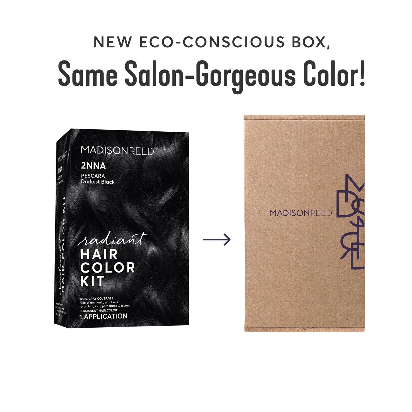 Madison Reed Radiant Hair Color Kit - 2NNA Darkest Cool Black with Ash Undertones (Pescara Black), Dimensional Gray Hair Blending Permanent Hair Dye, PPD-Free & Ammonia-Free, 1 Pack