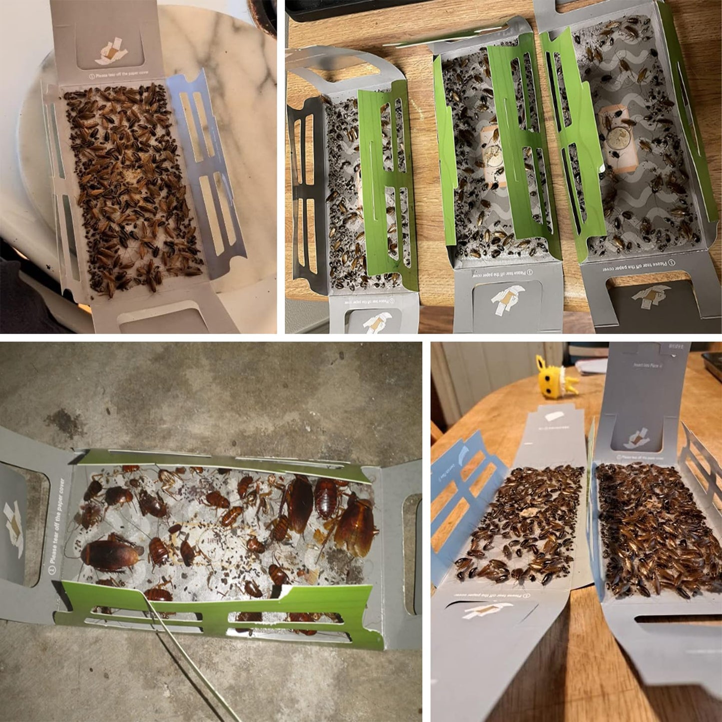 Roach Trap (20Pack) -Cockroach Traps Indoor with Bait,Roach Motel -Child hild & Pet Friendly