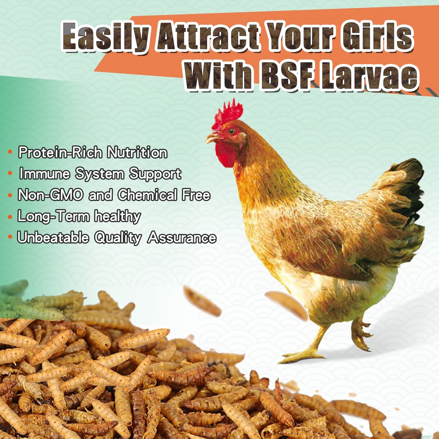 LuckyQworms Dried Black Solidier Fly Larvae 10LBS, 85X More Calcium Than Mealworms High-Protein BSF Larvae Chicken Treats Non-GMO BSFL for Chickens, Hens, Ducks, Wild Birds
