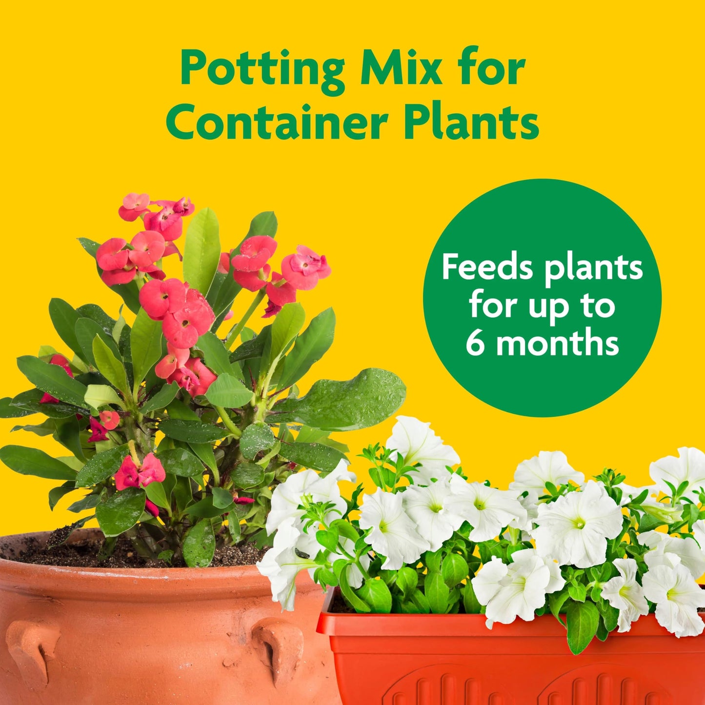 Miracle-Gro Potting Mix - For Container Plants, Flowers, Vegetables, Shrubs, Annuals, Perennials, Potting Soil Mix, Feeds up to 6 Months, 16 qt. (2-Pack)