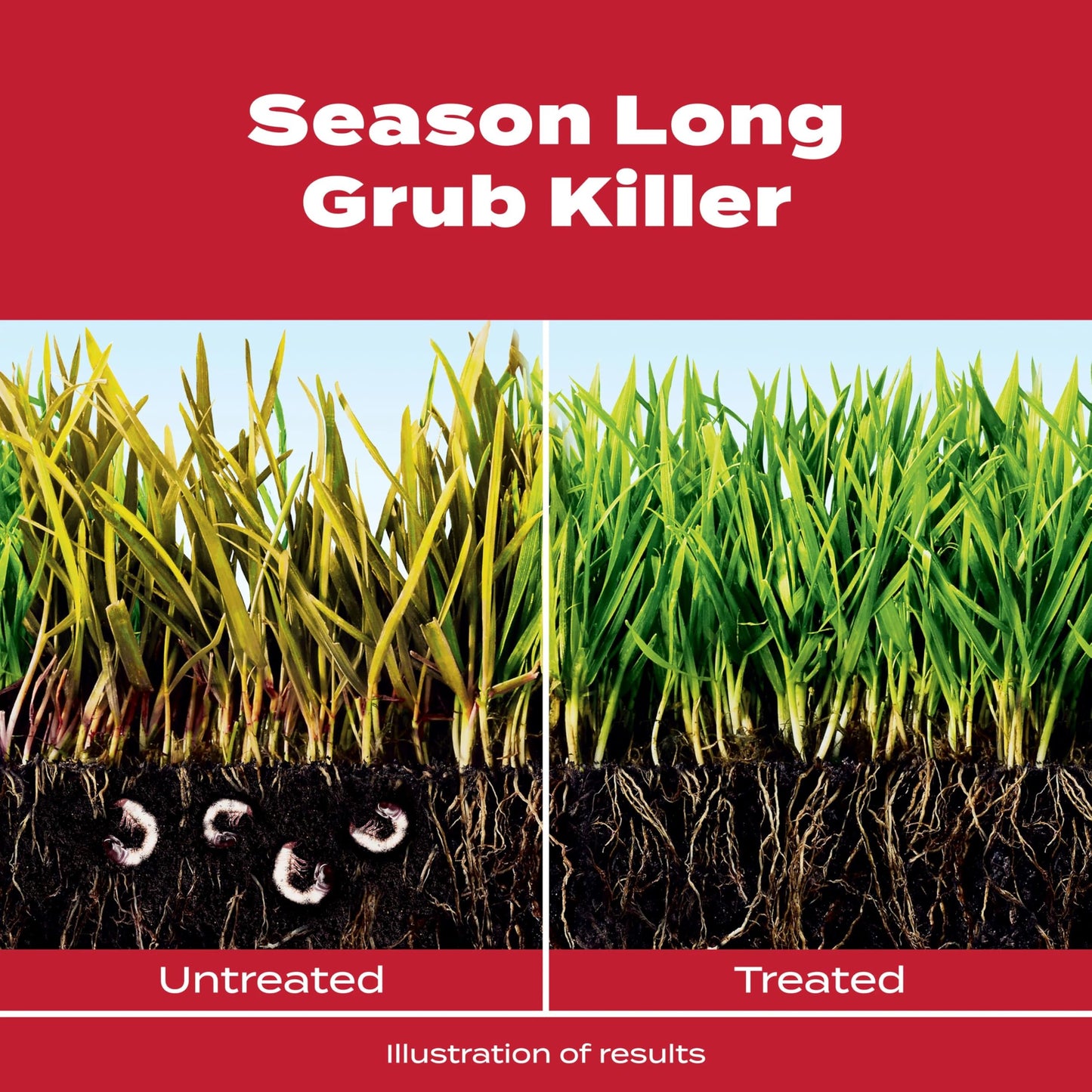 Scotts GrubEx1 Season Long Grub Killer, Protects Lawns Up to 4 Months, 5,000 sq. ft., 14.35 lbs.