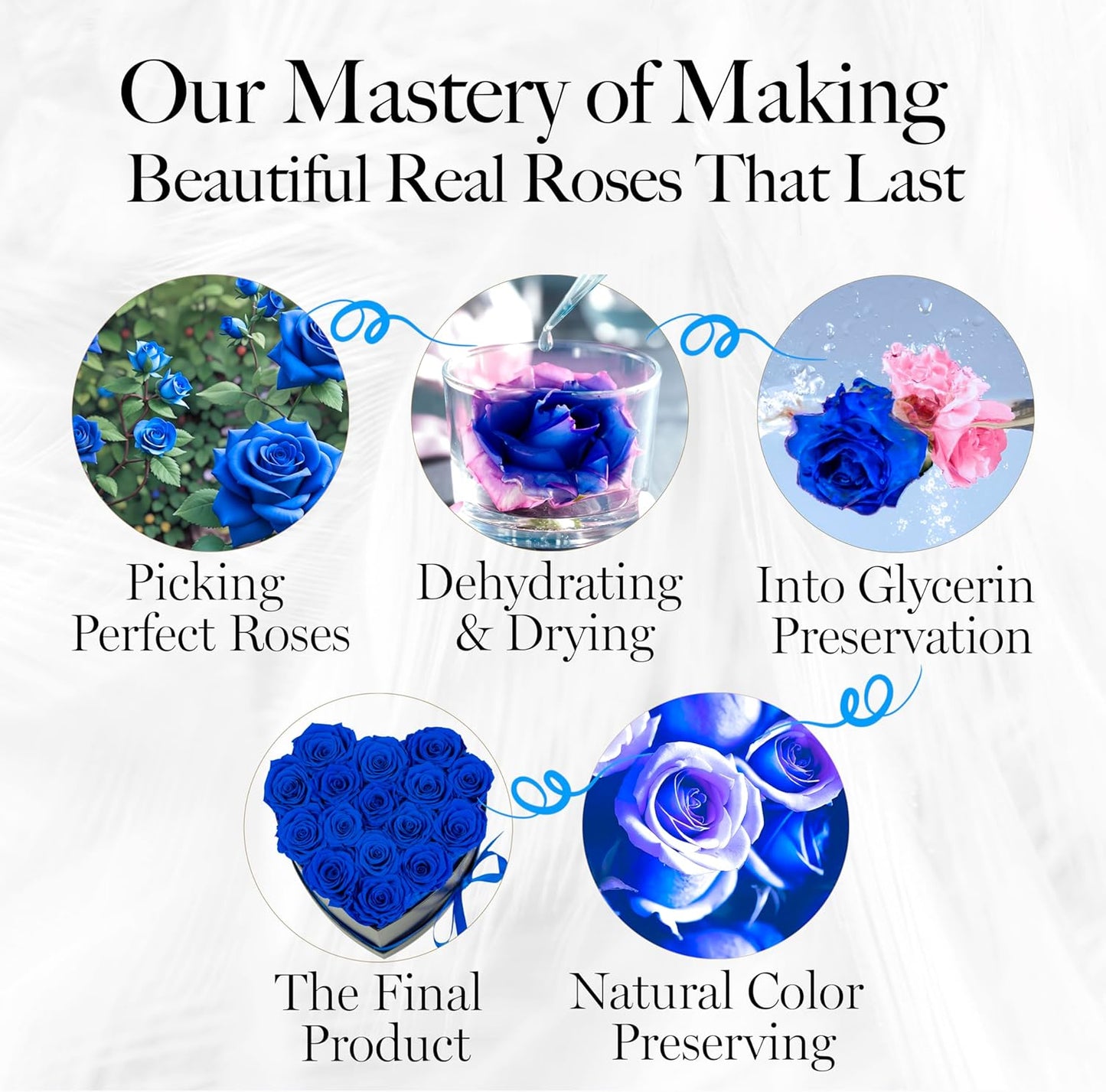 16-Piece Flowers Forever Heart Shape Box - Preserved Roses, Immortal Roses That Last A Year - Rose Eternal Preserved Flowers for Delivery Prime Mothers Day & Valentines Day - Blue