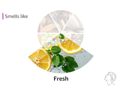 Touch Fabric Spray, Ocean & Mountain, 16.9 oz, Pack of 2