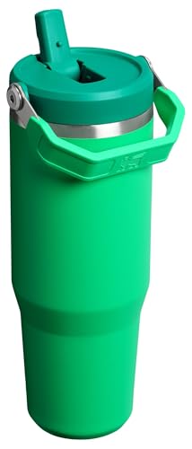 Stanley IceFlow 2.0 Flip Straw Tumbler with Handle 30 oz | Twist On Lid and Flip Up Straw | Leak Resistant Water Bottle | Insulated Stainless Steel | BPA-Free | Meadow