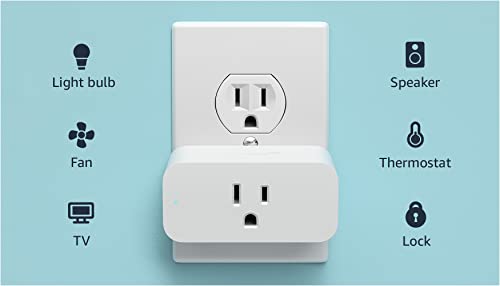 Amazon Smart Plug | Works with Alexa | Simple Setup, Endless Possibilities (2-Pack)