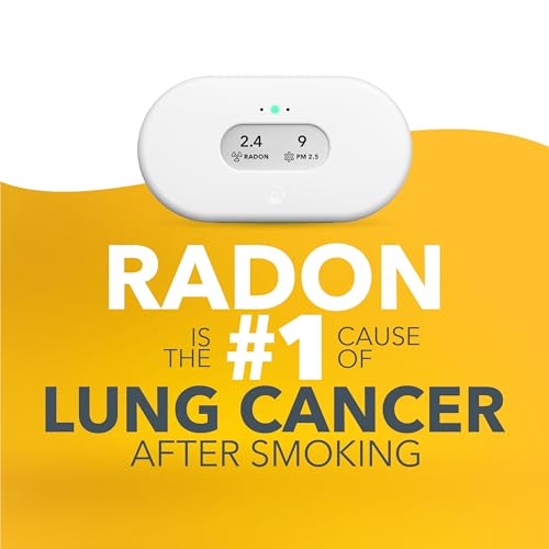 Airthings 2960 View Plus - Battery Powered Radon & Air Quality Monitor (PM, CO2, VOC, Humidity, Temp, Pressure)