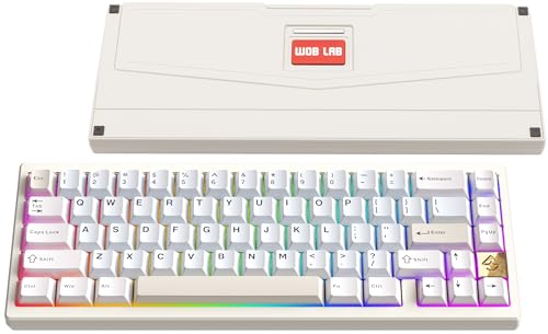 KEEBMONKEY WOBKEY Zen 65 65% Quick Release Wireless Mechanical Keyboard with RGB, CNC Aluminum Case, Hot-Swappable, VIA Support, BT/2.4G/USB-C Gaming Keyboard for Mac/Windows (Ultra White Gold)