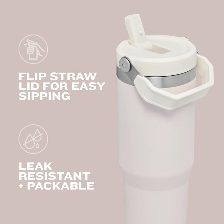 STANLEY IceFlow Flip Straw Tumbler with Handle 20 oz | Twist On Lid and Flip Up Straw | Leak Resistant Water Bottle | Insulated Stainless Steel |BPA-Free | Polar