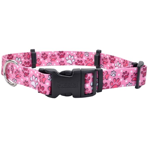 Coastal Pet SecureAway Collar Protector for Flea Collars - Adjustable pet Accessory - Protective Flea Collar for Dogs & Puppy - Multi Paws, 1" x 18-26"