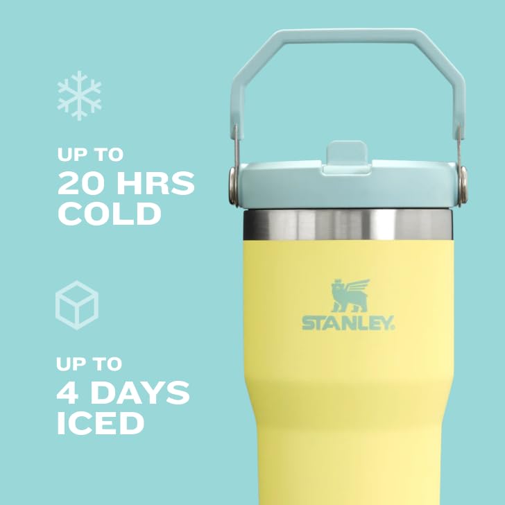 STANLEY IceFlow Flip Straw Tumbler with Handle 20 oz | Twist On Lid and Flip Up Straw | Leak Resistant Water Bottle | Insulated Stainless Steel |BPA-Free | Polar