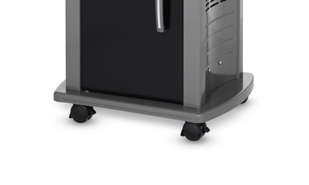 Weber Spirit E-210 Gas Grill | Liquid Propane, 2-Burner | Black