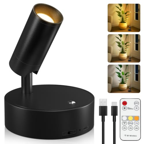 Rechargeable LED Spotlight Indoor Dimmable Accent Wall Light with Remote