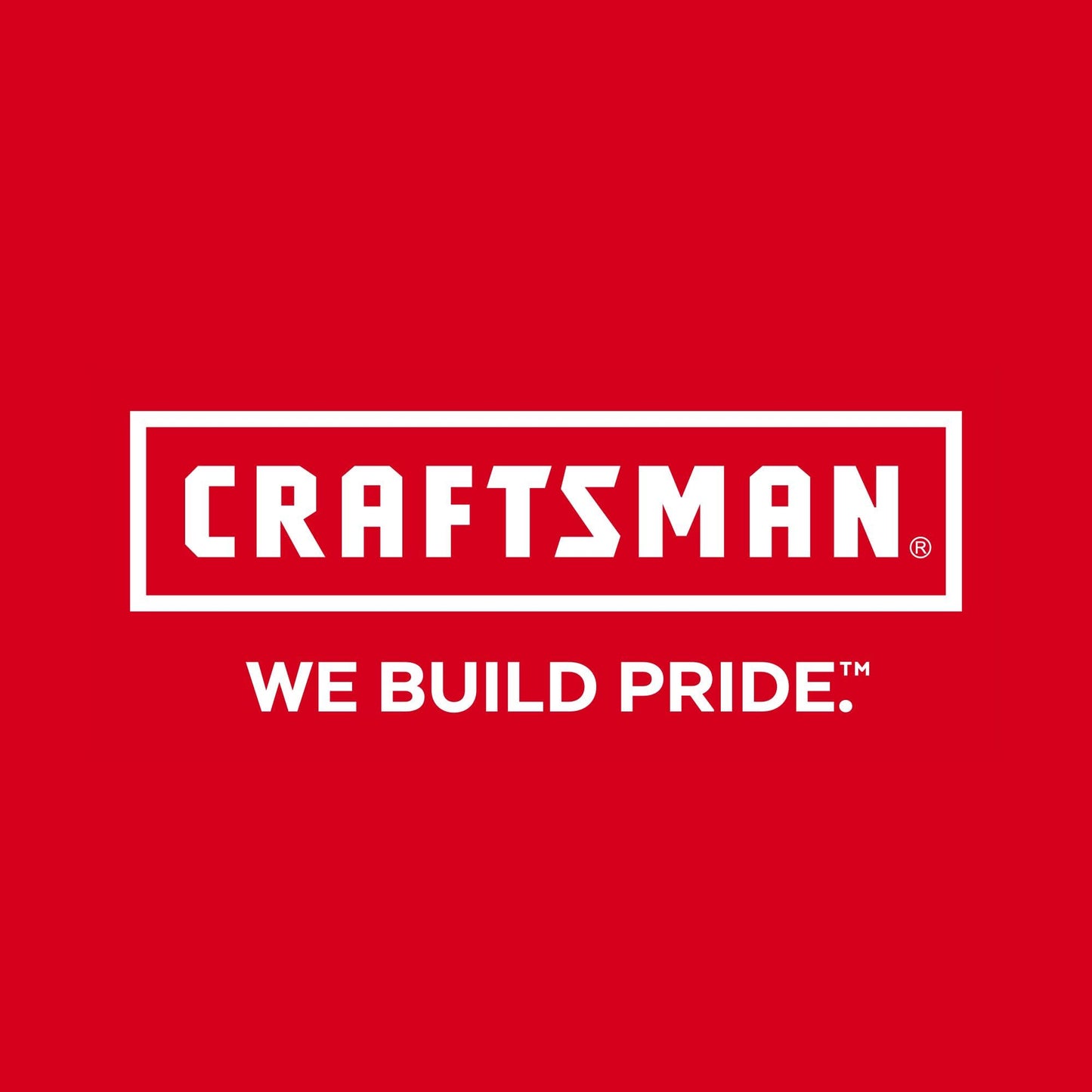 CRAFTSMAN 159 Piece Mechanics Tool Set (CMMT12125)