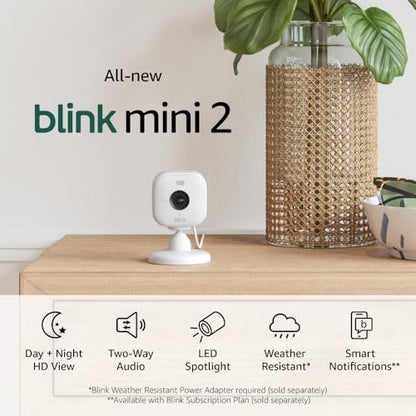 Blink Mini 2 (Newest Model) — Home Security & Pet Camera(s) with HD video, color night view, motion detection, two-way audio, and built-in spotlight — 1 camera (White)