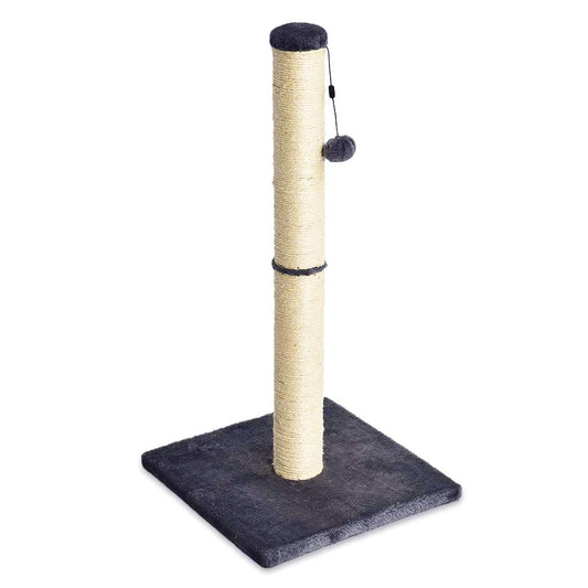 Amazon Basics Cat Scratcher - Indoor Classic Single Cat & Kittens Scratching Post, Medium (31.5"H) - Grey