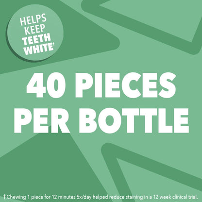 ORBIT Sweet Mint Gum, Chewing Gum Sugar-Free, 6 Packs, Bulk Pack