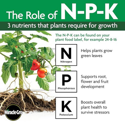 Miracle-Gro Shake 'N Feed All Purpose Plant Food, For In-Ground and Container Plants, Feeds for up to 3 Months, 4.5 lbs.