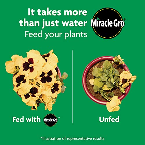 Miracle-Gro Shake 'N Feed All Purpose Plant Food, For In-Ground and Container Plants, Feeds for up to 3 Months, 4.5 lbs.