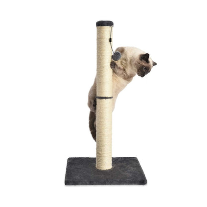 Amazon Basics Cat Scratcher - Indoor Classic Single Cat & Kittens Scratching Post, Medium (31.5"H) - Grey