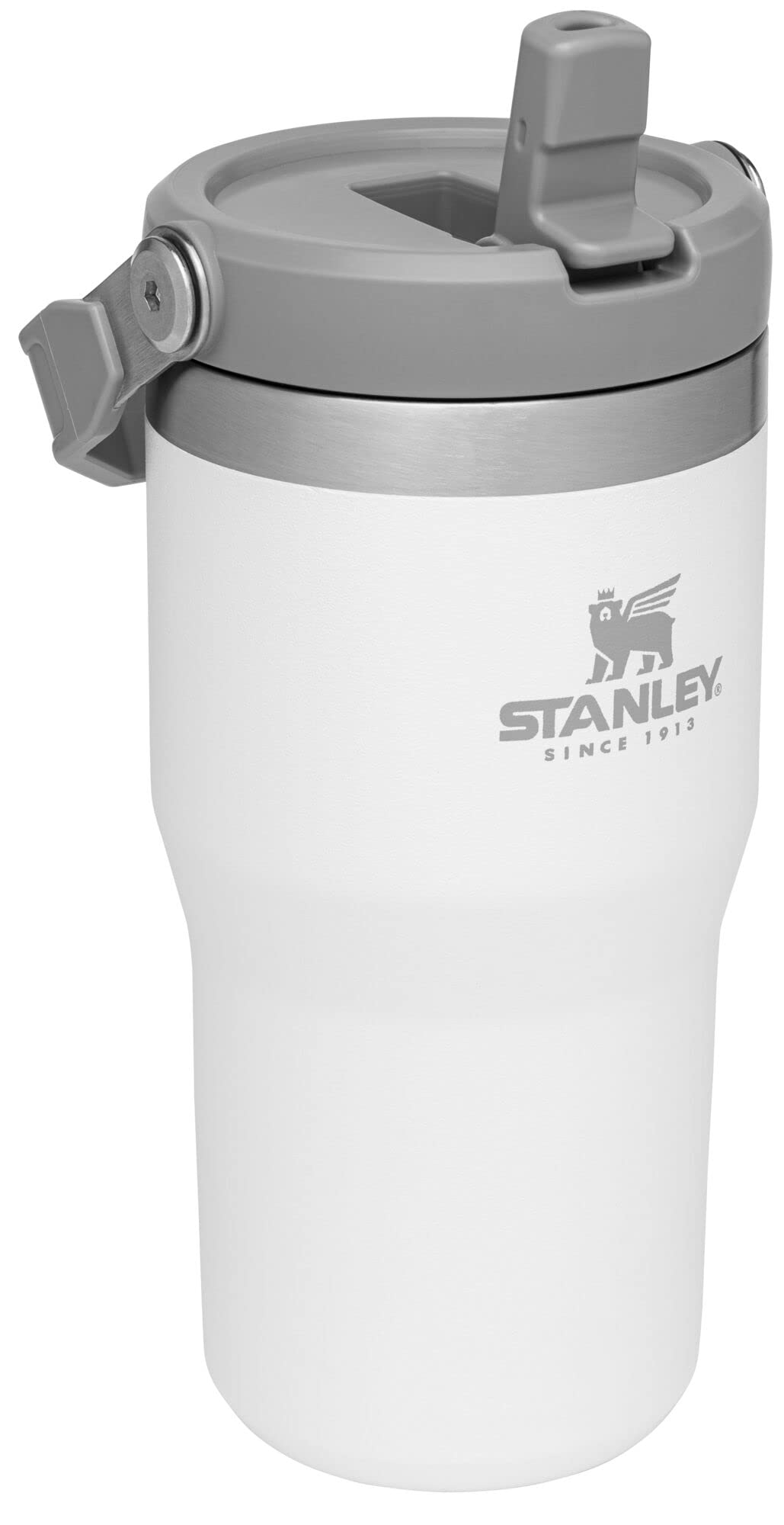 STANLEY IceFlow Flip Straw Tumbler with Handle 20 oz | Twist On Lid and Flip Up Straw | Leak Resistant Water Bottle | Insulated Stainless Steel |BPA-Free | Polar