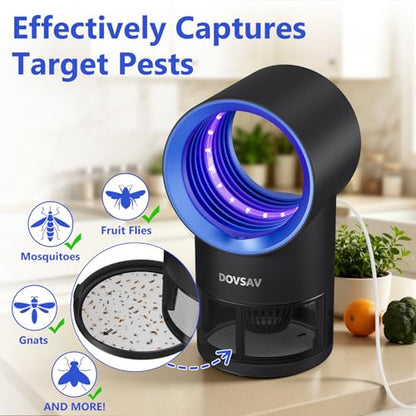Fruit Fly Traps for Indoors, Blue Gnat Trap Indoor with Suction & Timer