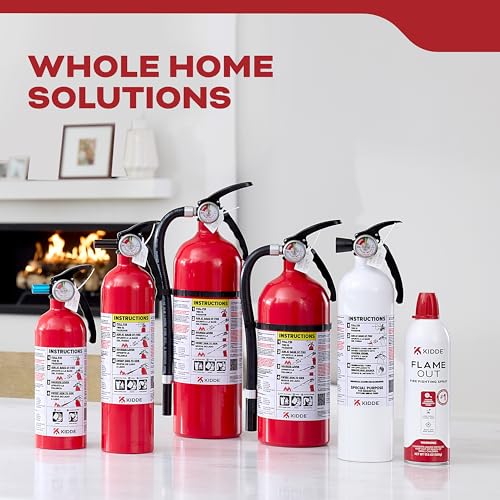 Kidde FA110 Multi Purpose Fire Extinguisher 1A10BC, 1 Pack, red