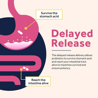 Doctor's Recipes Probiotics for Women, 100 Billion CFU 32 Strains, with Prebiotic Fiber, Enzymes & Cranberry, Vaginal Urinary Digestive & Immune, No Yeast, Shelf Stable, Delayed Release, 30 Caps