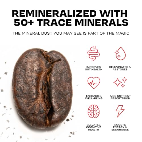 Danger Coffee Ground Mold Free Coffee by Dave Asprey | Medium Roast 10.9 oz