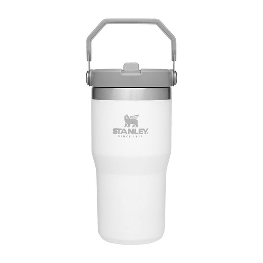 STANLEY IceFlow Flip Straw Tumbler with Handle 20 oz | Twist On Lid and Flip Up Straw | Leak Resistant Water Bottle | Insulated Stainless Steel |BPA-Free | Polar
