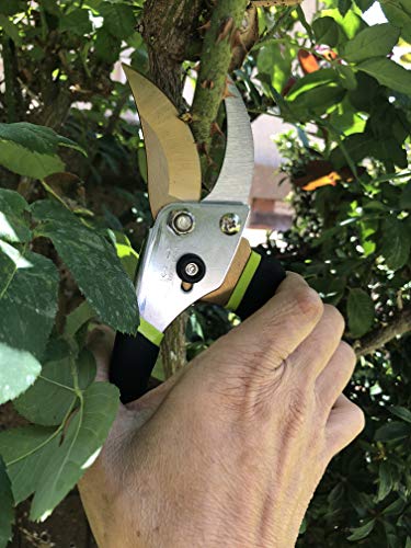 Q-yard QY-731L Traditional Bypass Pruning 8.5" Titanium Blade- Handheld Gardening Tools Shears