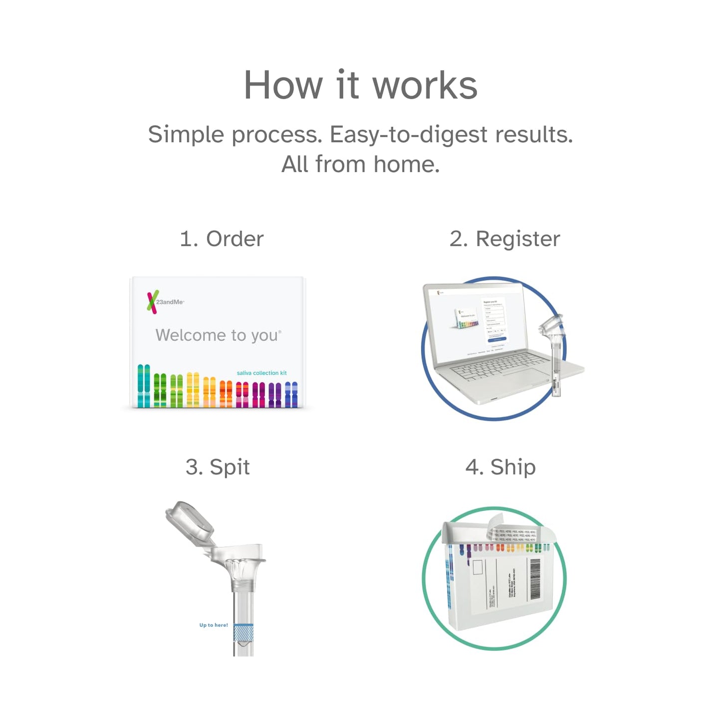 23andMe Health + Ancestry Service: Personal Genetic Test, Health Predispositions, Carrier Status, Wellness, Traits, Ancestry Reports, Lineage, DNA Test (Before You Buy See Important Test Info Below)