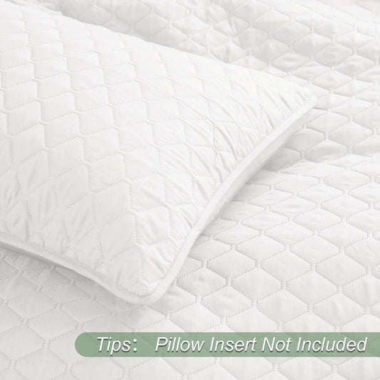 Exclusivo Mezcla Reversible Full Queen Quilt Bedding Set with Pillow Shams, Lightweight Quilts Queen Size, Soft Bedspreads Bed Coverlets for All Seasons - (White, 90"x96")