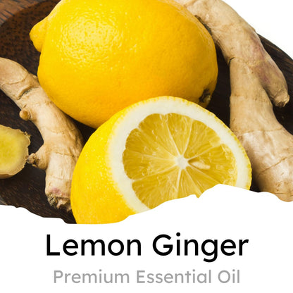 Air Jungles Lemon Ginger Scent Car Air Freshener Clip, 6 Vent Clips, 4ml Each, Long Lasting Air Freshener, Up to 180 Days Car Refresher Odor Eliminator