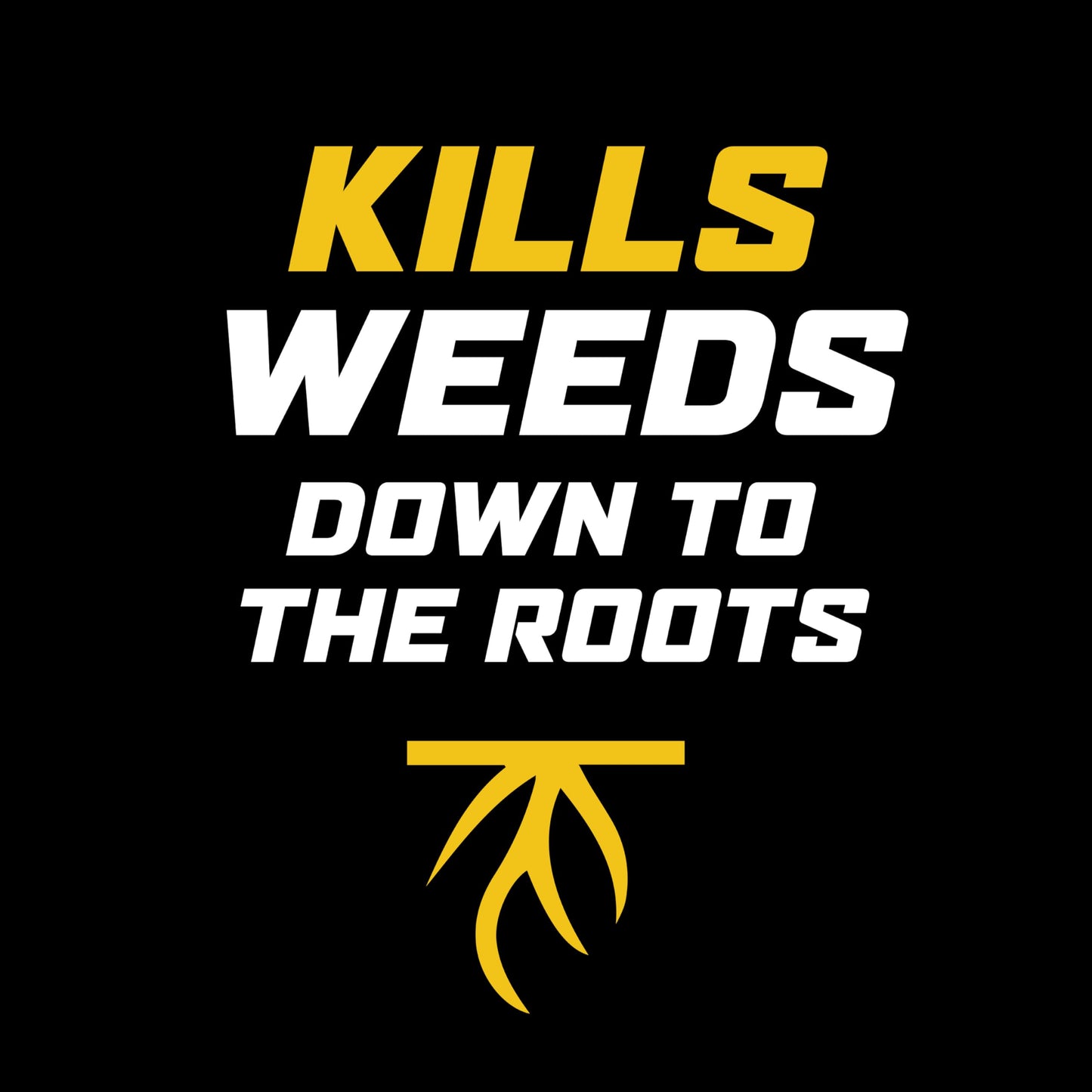 Ortho WeedClear Weed Killer for Lawns Concentrate, Kills Dandelion and Clover, 1 gal.