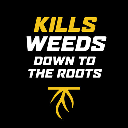 Ortho WeedClear Weed Killer for Lawns Concentrate, Kills Dandelion and Clover, 1 gal.