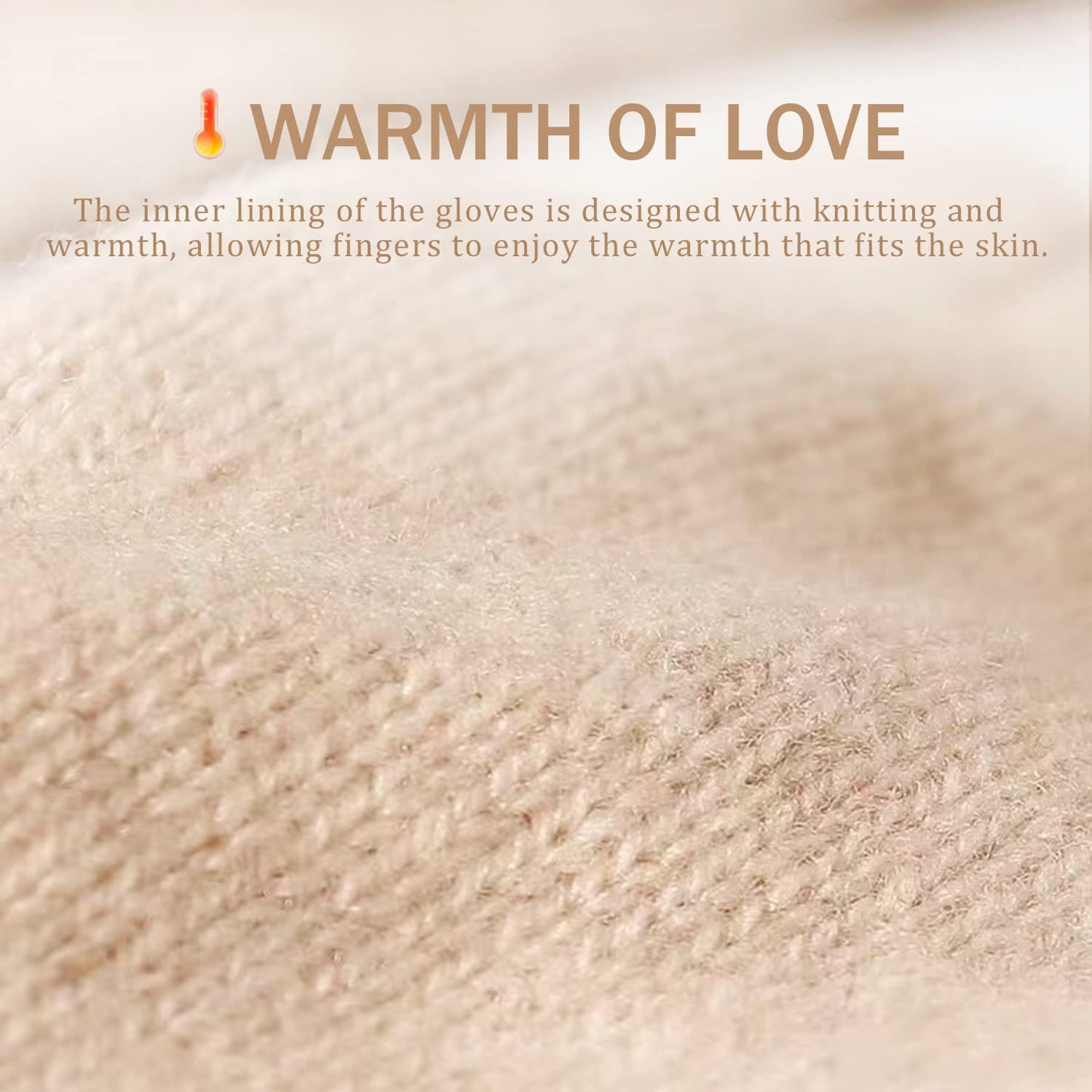 ISHISBEB Winter Leather Gloves for Women, Warm Touchscreen Gloves