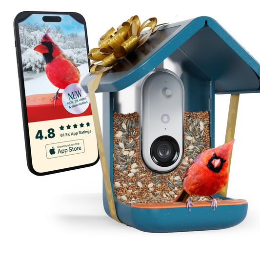 Birdbuddy PRO Solar Smart Bird Feeder with Camera - AI Bird Species Identification, 5MP Photos, 2K HD Video Live Stream Camera, Slow-Motion Video, 2.6in Focus - Blue Solar