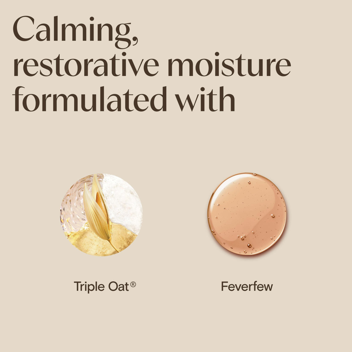 Aveeno Skin-Care Bundle for Sensitive Skin, Calm + Restore Triple Oat Hydrating Facial Serum, 1 fl. oz, & Travel Size Daily Moisturizing Cream + Prebiotic Oat, 0.5 oz, Fragrance Free, Two Items