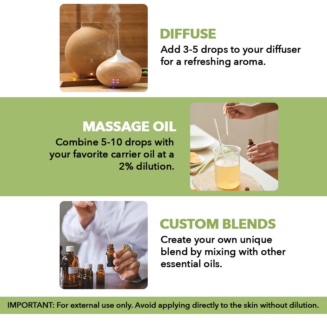 Majestic Pure Peppermint Essential Oil | 100% Pure and Natural Peppermint Oil | Premium Grade Essential Oils for Hair Care, Home Diffusers, Aromatherapy, Massage and Humidifiers | 4 Fl Oz (Pack of 2)