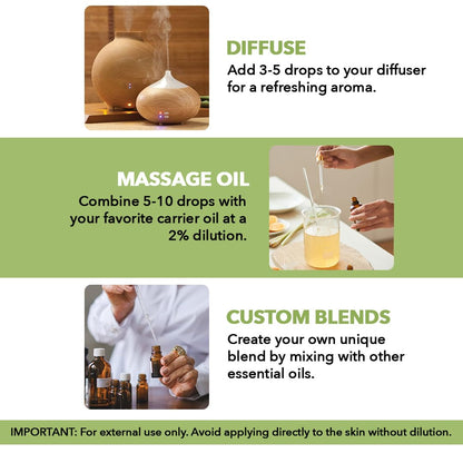 Majestic Pure Peppermint Essential Oil | 100% Pure and Natural Peppermint Oil | Premium Grade Essential Oils for Hair Care, Home Diffusers, Aromatherapy, Massage and Humidifiers | 4 Fl Oz (Pack of 2)