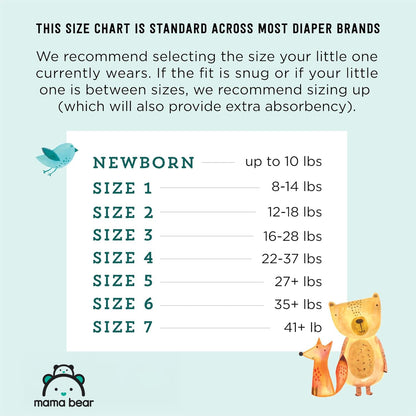 Amazon Brand - Mama Bear Gentle Touch Diapers, Size 3, 168 Count (4 packs of 42)