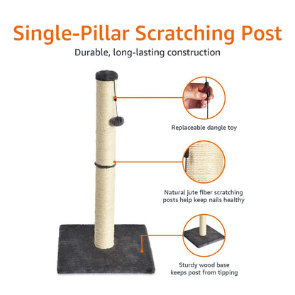 Amazon Basics Cat Scratcher - Indoor Classic Single Cat & Kittens Scratching Post, Medium (31.5"H) - Grey