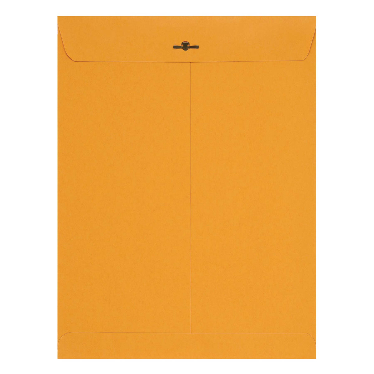 Amazon Basics 9" x 12" Clasp Kraft Envelopes, Gummed, 100-Pack, brown