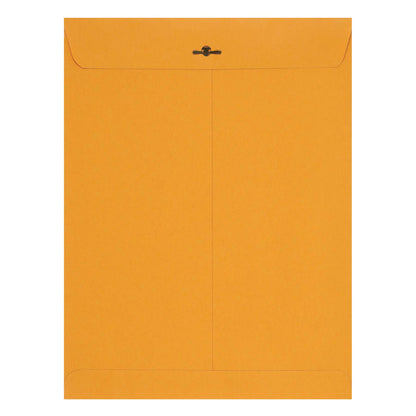 Amazon Basics 9" x 12" Clasp Kraft Envelopes, Gummed, 100-Pack, brown