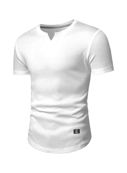 JMIERR Mens 2 Pack V-Neck Muscle Slim Henley Shirt Workout Gym Athletic Shirt Summer Fashion Short Sleeve Shirt for Men, M