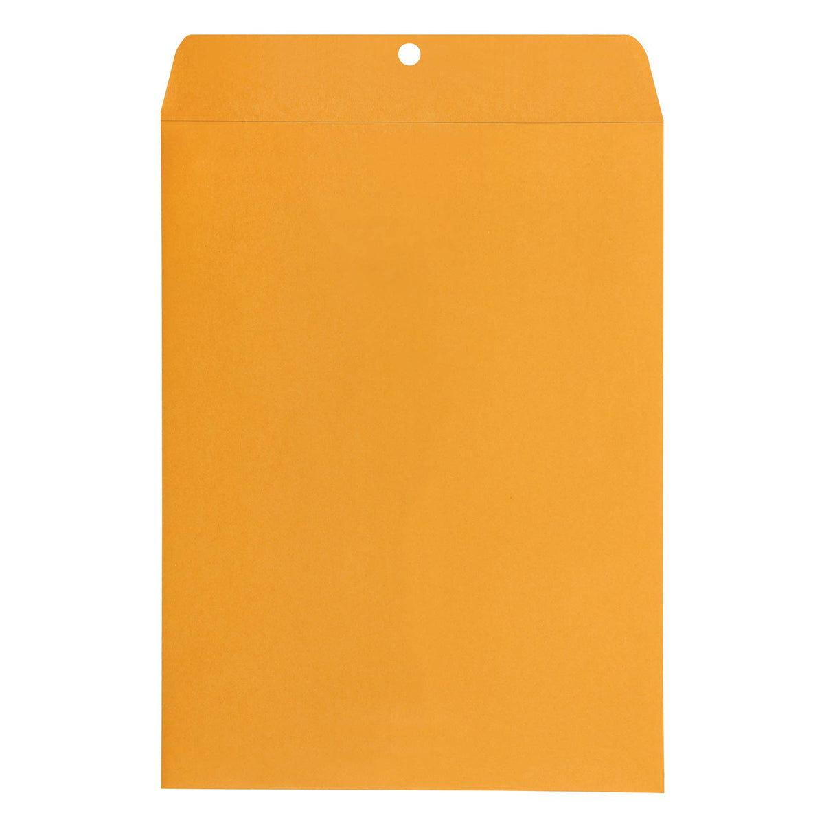 Amazon Basics 9" x 12" Clasp Kraft Envelopes, Gummed, 100-Pack, brown