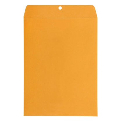 Amazon Basics 9" x 12" Clasp Kraft Envelopes, Gummed, 100-Pack, brown