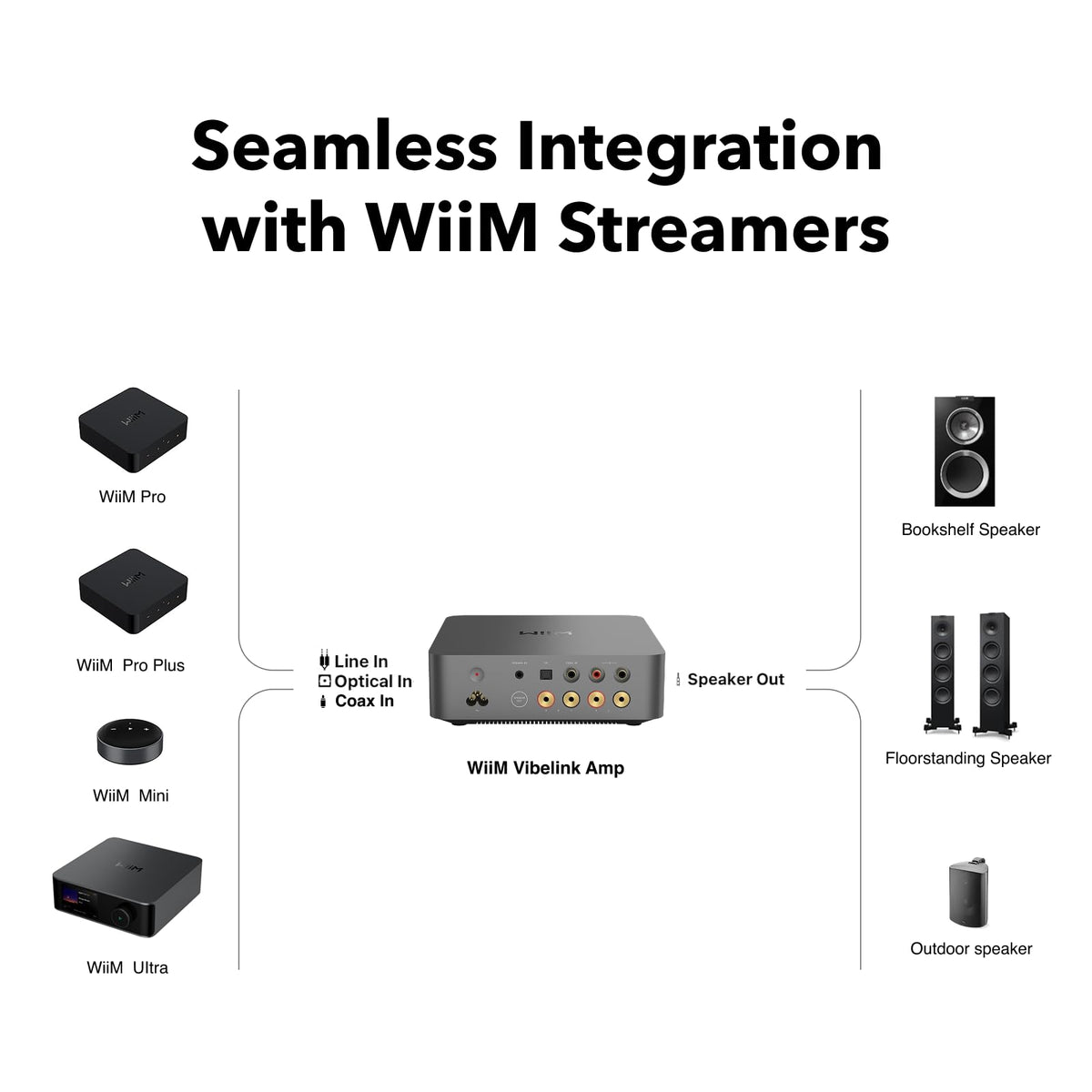 WiiM Vibelink Amp | 100W Power Amplifier with Premium ESS 9039Q2M DAC and TI TPA3255 | Compatible with WiiM Mini, Pro, Pro Plus, and Ultra | RCA, Coax, and Optical Inputs | Space Gray